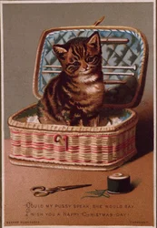 Poes in de Werkmand